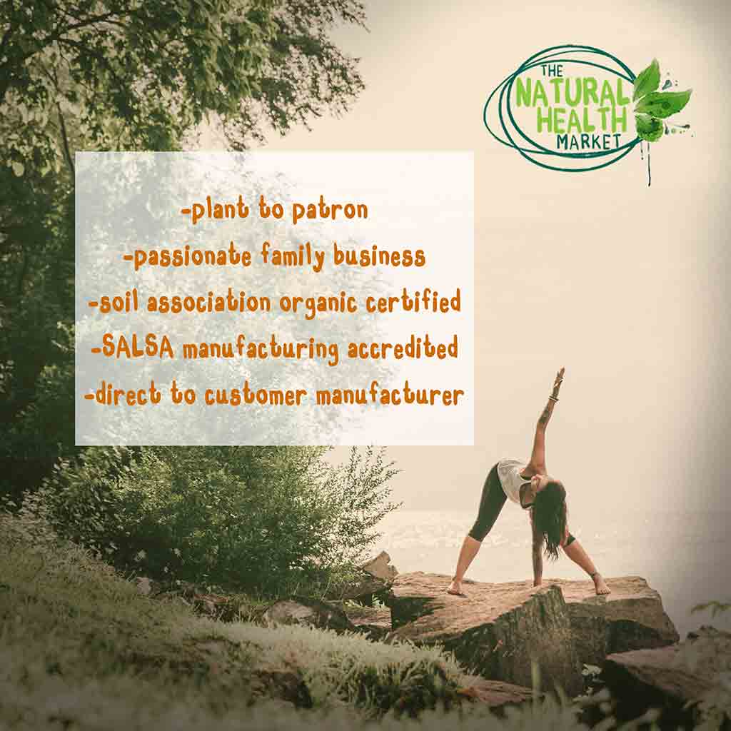 Organic Yerba Mate Tea Bags