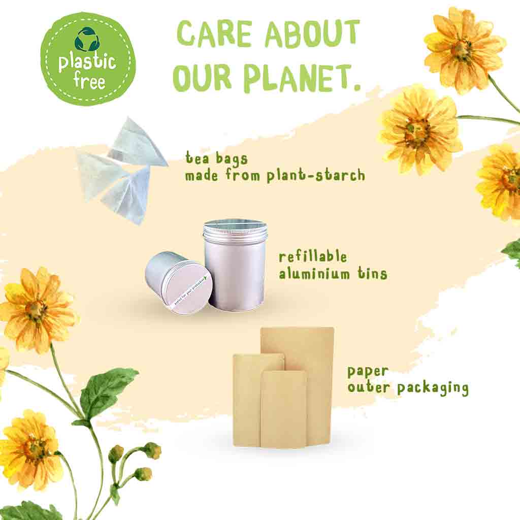 Organic Yerba Mate Tea Bags