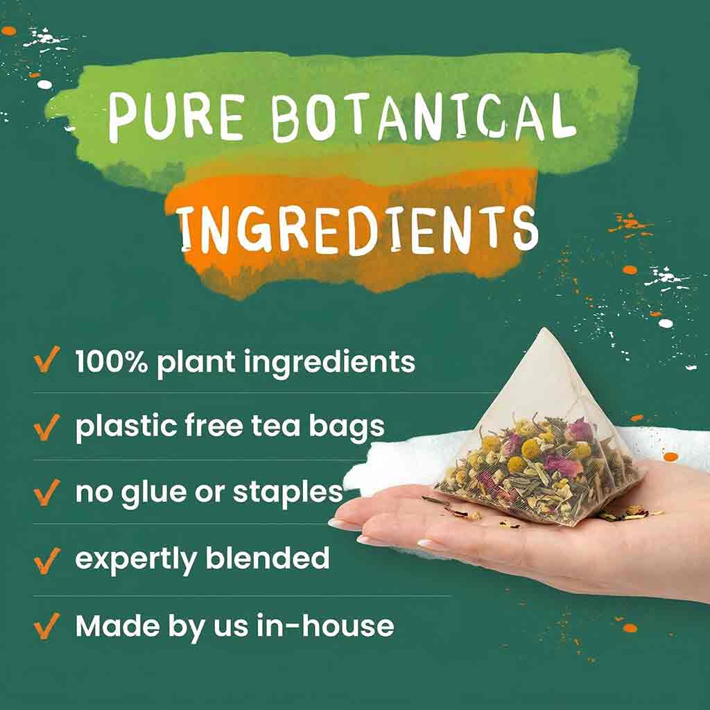 Organic Ginger Tea Bags